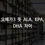 오메가3_뜻_ALA_EPA_DHA_차이