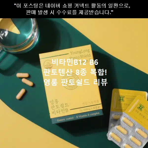비타민 B6 B12 판토텐산 8종 복합! 영롱 판토쉴드 비타민B 리뷰