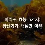 미역귀 효능 5가지: 황산기가 핵심인 이유