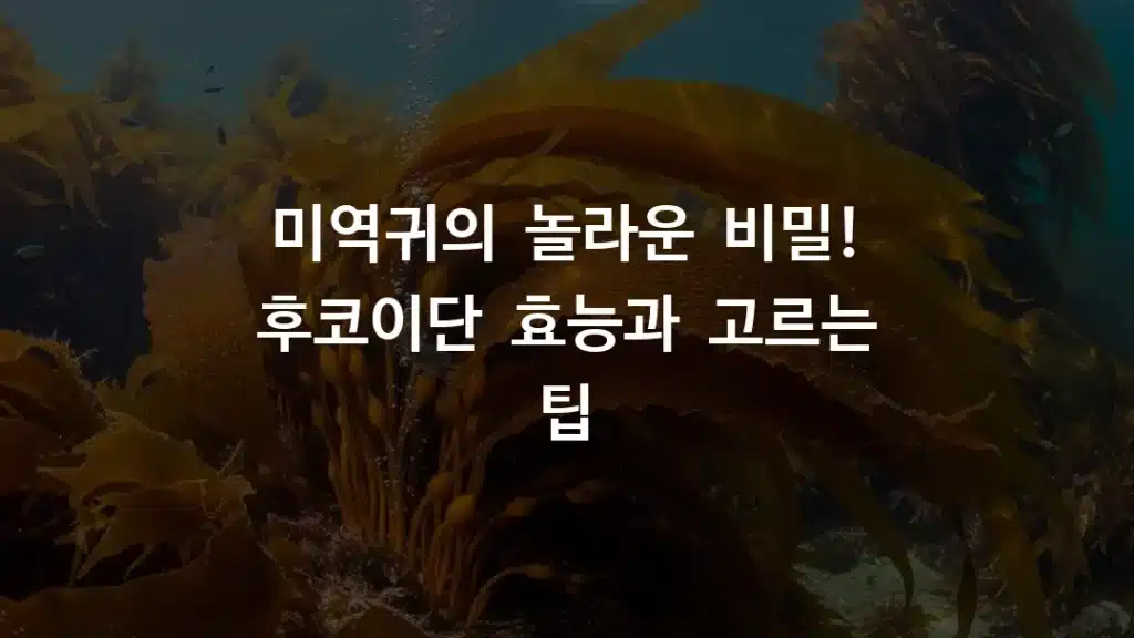미역귀의 놀라운 비밀! 후코이단 효능과 고르는 팁