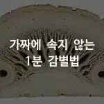 녹용 단면