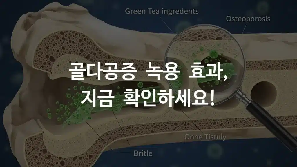 골다공증으로 약해진 골조직이 녹용 성분으로 촘촘해지는 과정