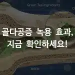 골다공증으로 약해진 골조직이 녹용 성분으로 촘촘해지는 과정