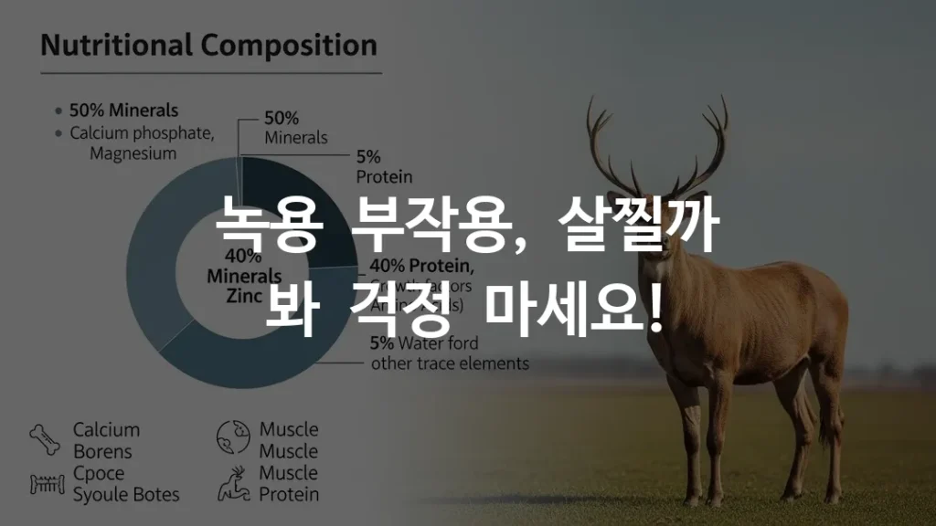 녹용 사슴뿔의 영양 성분표와 체내 대사 과정을 설명하는 인포그래픽