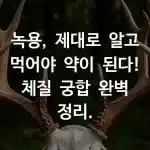 녹용이 몸에 좋은 이유 3가지와 반드시 주의할 체질