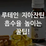 루테인 지아잔틴 흡수율 높이는 꿀팁