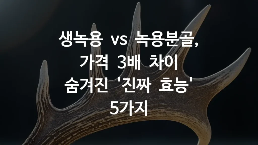 생녹용 vs 녹용분골, 가격 3배 차이 숨겨진 '진짜 효능' 5가지
