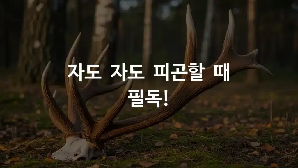 녹용