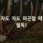 녹용
