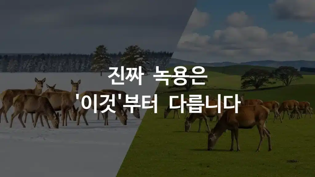 눈 덮인 러시아 시베리아 벌판의 사슴과 뉴질랜드 푸른 초원의 사슴 비교 이미지