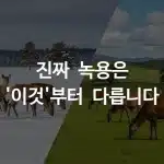 눈 덮인 러시아 시베리아 벌판의 사슴과 뉴질랜드 푸른 초원의 사슴 비교 이미지