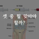 무릎 줄기세포 주사 골수 지방 PRP 세 가지 비교 일러스트